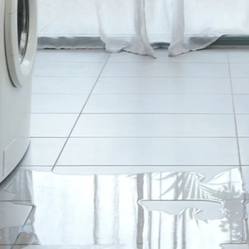 Appliance Leak Cleanup in Scott County, IL