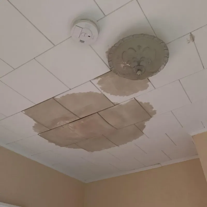 Ceiling Water Damage Repair in Scott County, IL