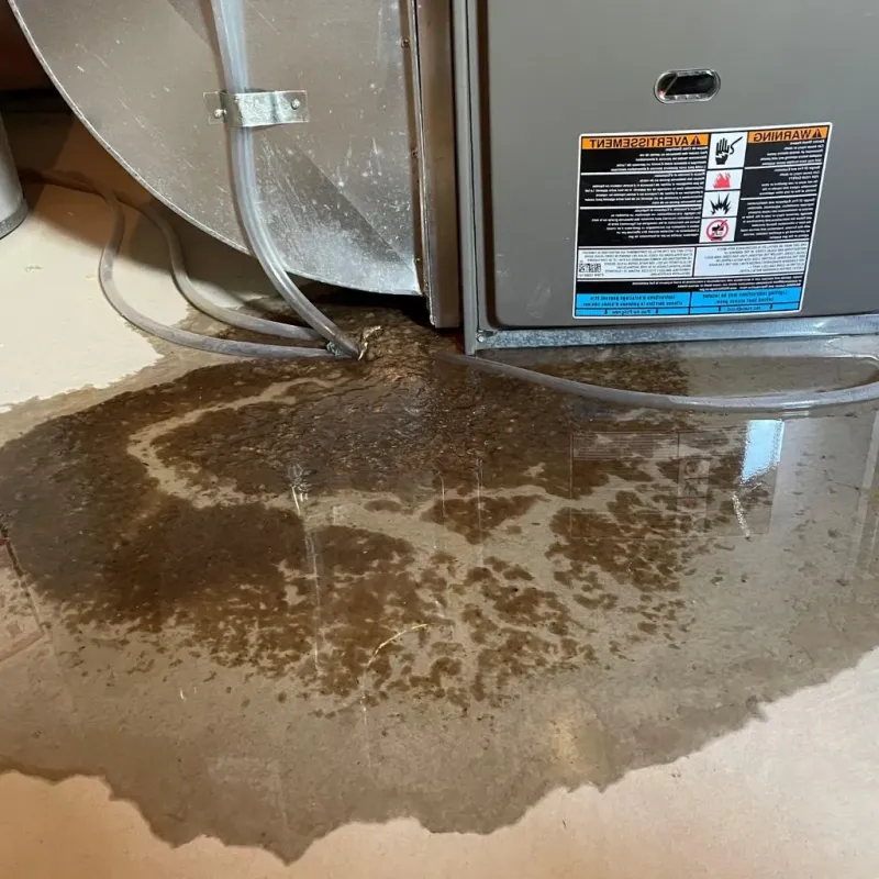 Pipe Burst and Leak Restoration in Scott County, IL