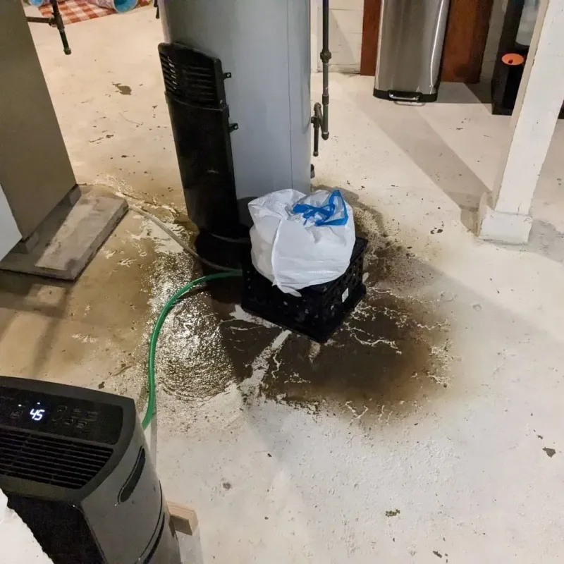 Sewage Backup Cleanup Service in Scott County, IL